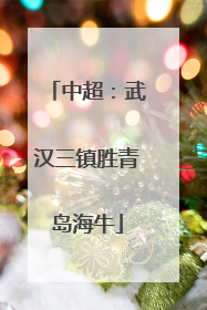 中超：武汉三镇胜青岛海牛